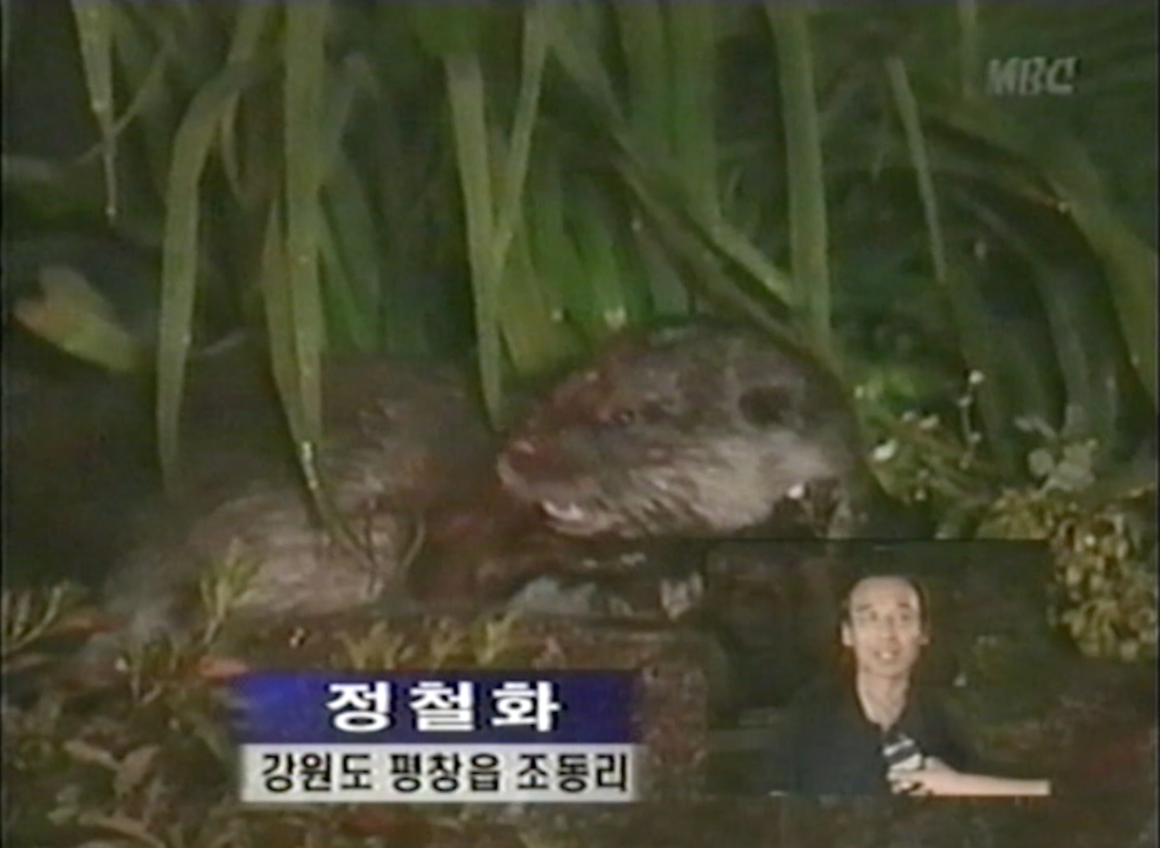 방송 속 현장 장면